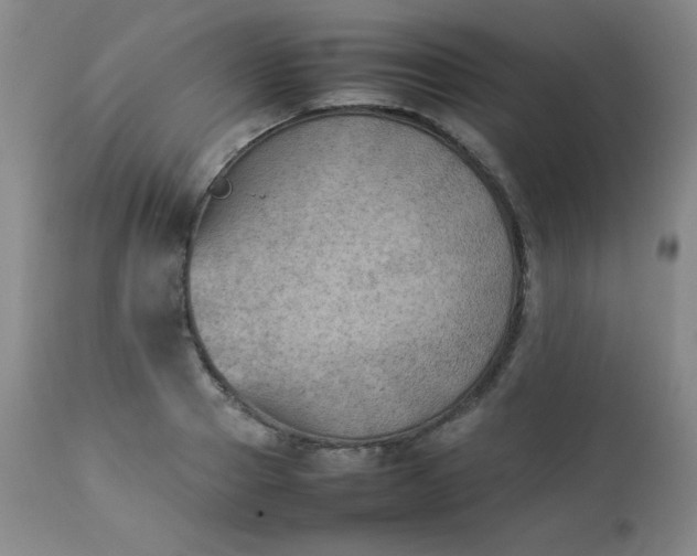 X0000112850937200909041526