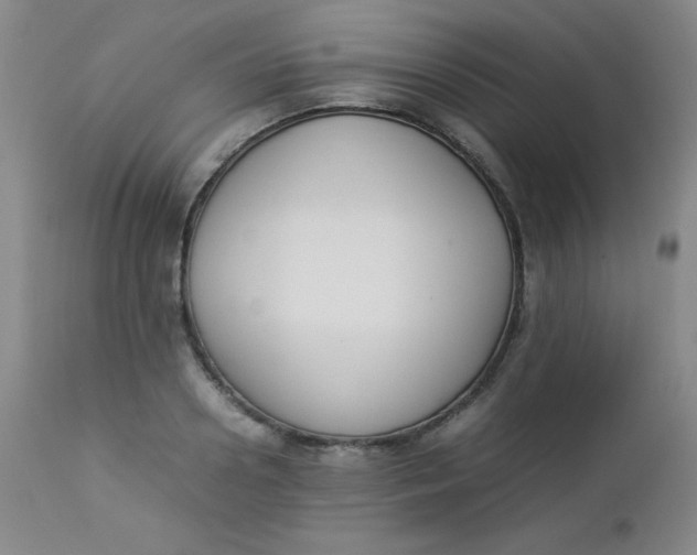 X0000112850938200909041526