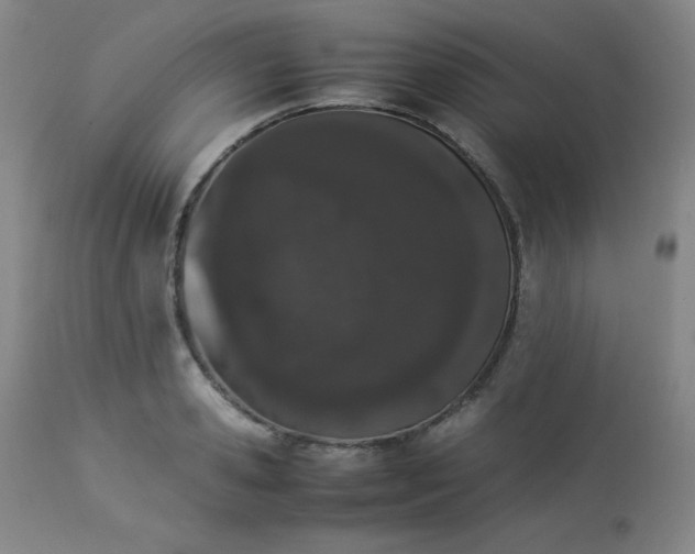 X0000112850941200909041526