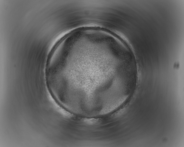 X0000112850943200909041526