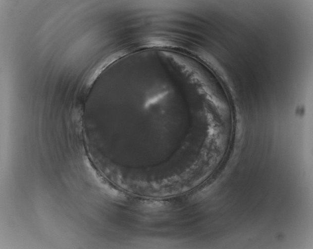 X0000112850945200909041526