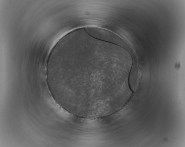 X0000112850948200909041526