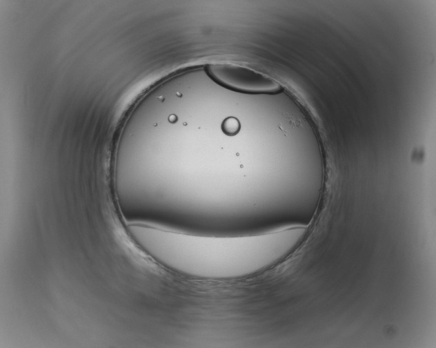 X0000112850952200909041526