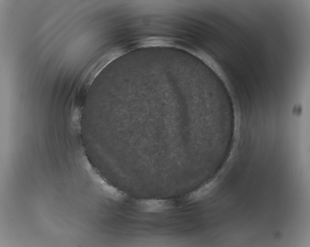 X0000112850953200909041526