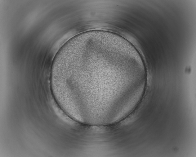 X0000112850954200909041526