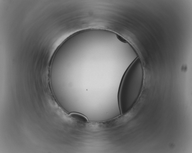 X0000112850956200909041526