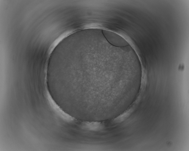 X0000112850957200909041526