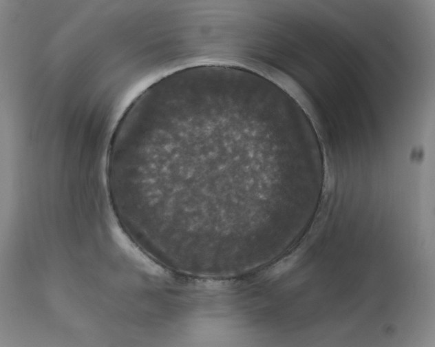 X0000112850958200909041526