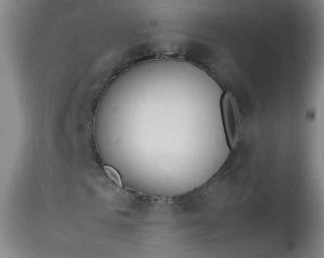 X0000112850961200909041525