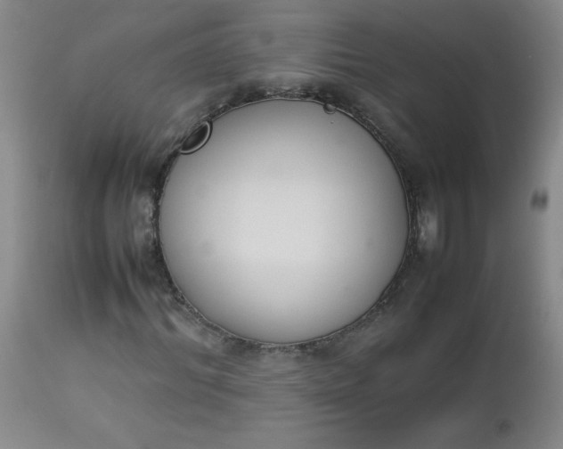 X0000112850964200909041525