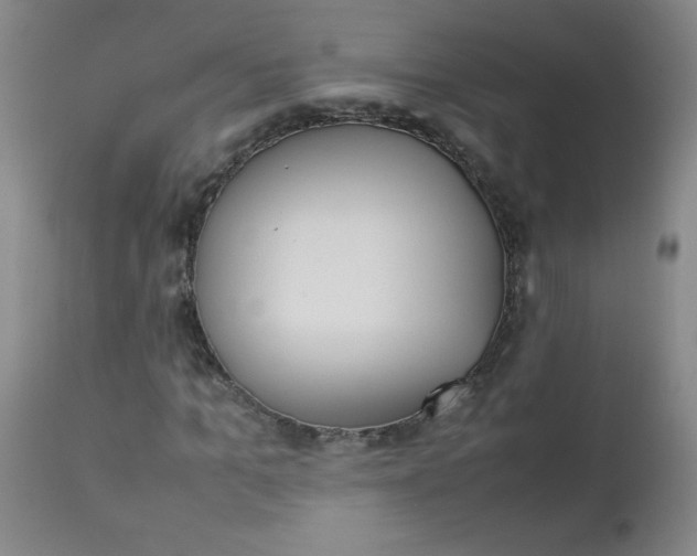 X0000112850965200909041525