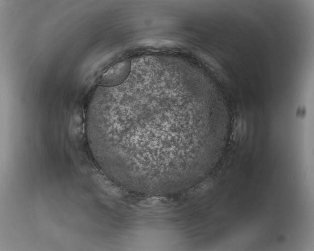 X0000112850966200909041525