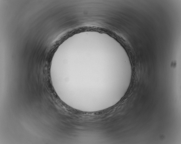 X0000112850968200909041525