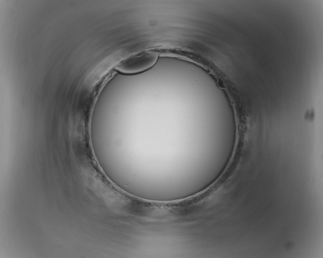 X0000112850969200909041525