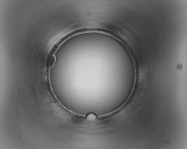 X0000112850973200909041525