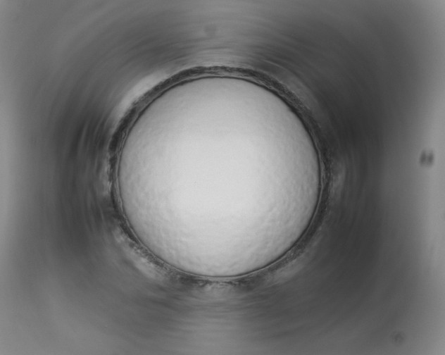 X0000112850974200909041525