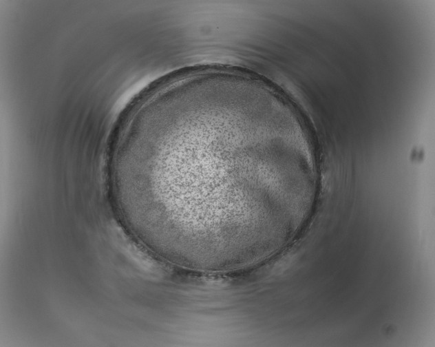 X0000112850975200909041525