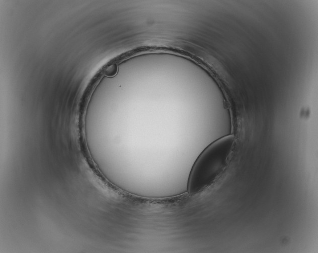 X0000112850976200909041525