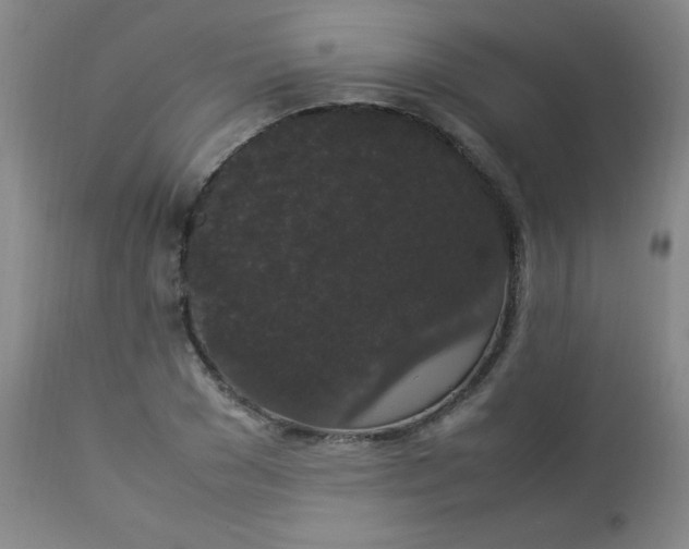 X0000112850977200909041525