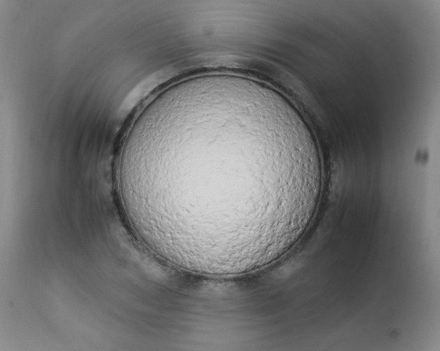 X0000112850978200909041525