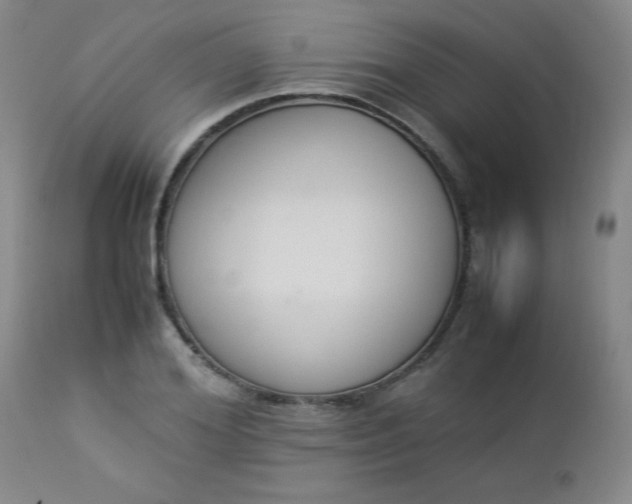 X0000112850980200909041525