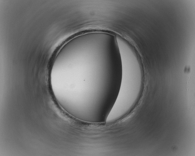 X0000112850981200909041525