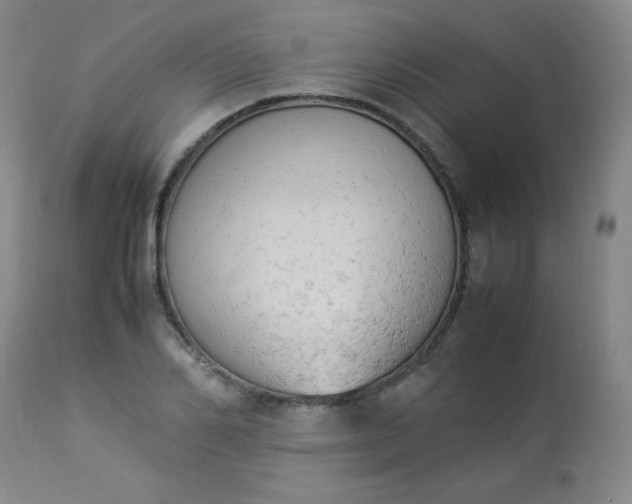 X0000112850982200909041525