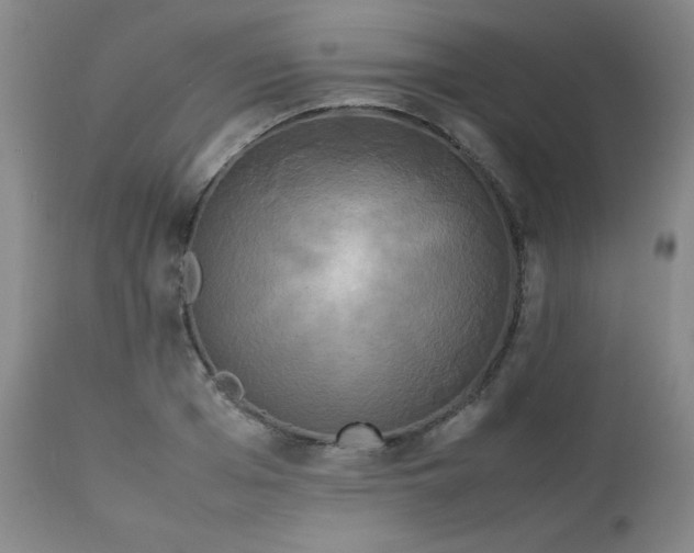 X0000112850985200909041525