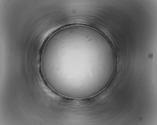 X0000112850987200909041525