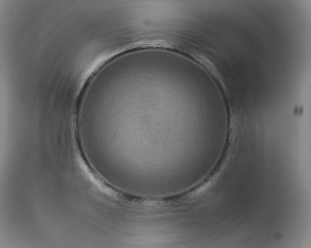 X0000112850989200909041525