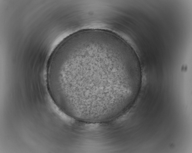 X0000112850990200909041525