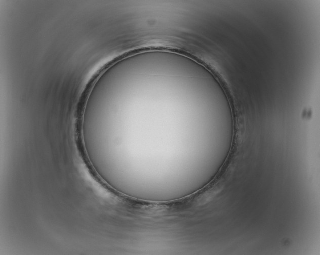 X0000112850991200909041525