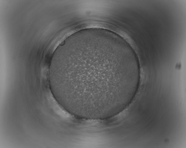 X0000112850993200909041525