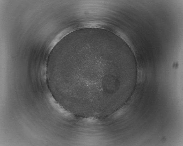 X0000112850994200909041525