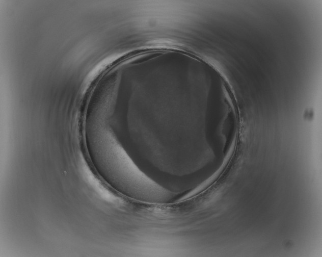 X0000112850995200909041525