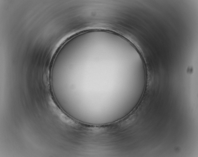 X0000112850996200909041525