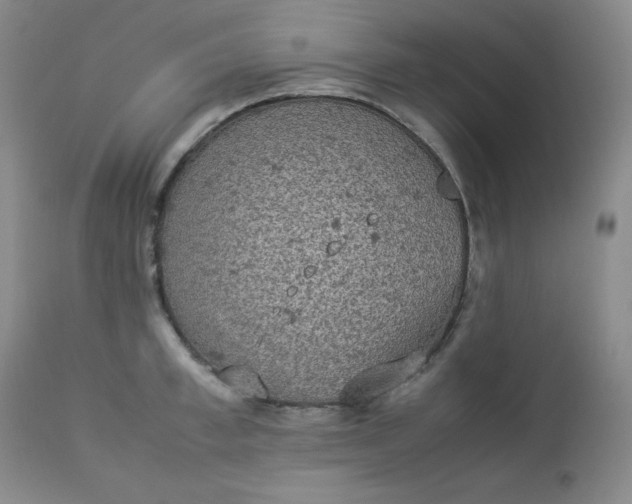 X0000112850997200909041525