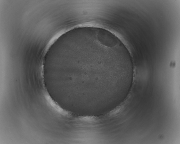 X0000112850998200909041525