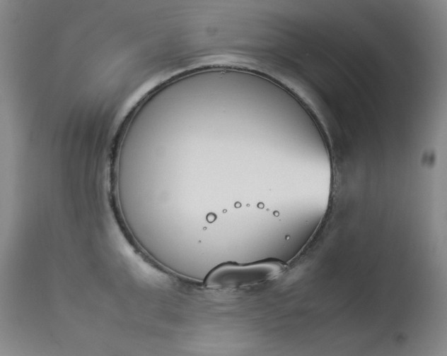 X0000112850999200909041525