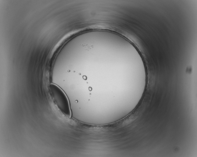 X0000112851000200909041525