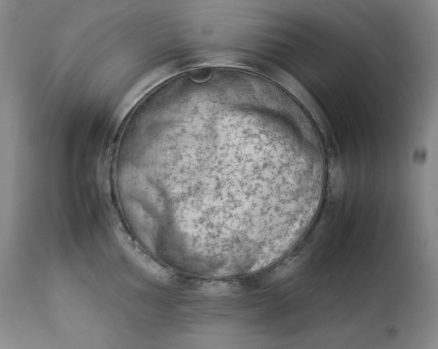 X0000112851002200909041525