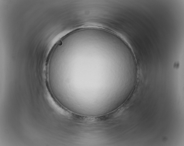 X0000112851003200909041525