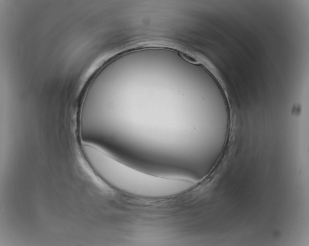 X0000112851005200909041525