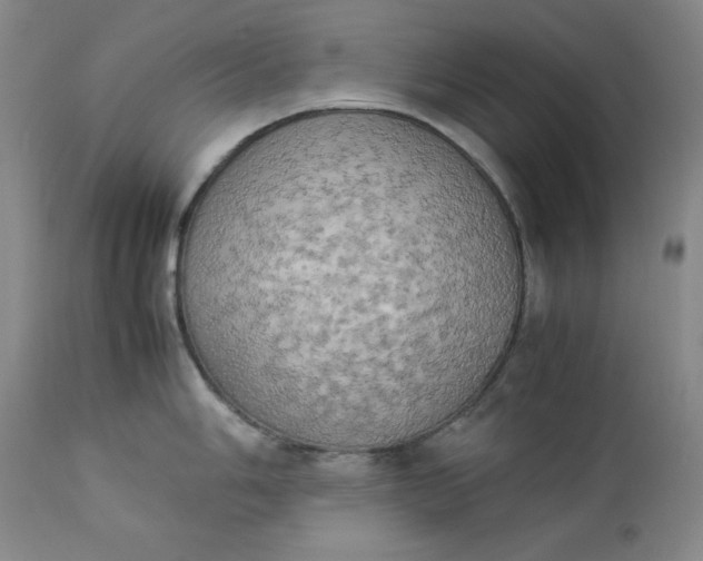 X0000112851006200909041525