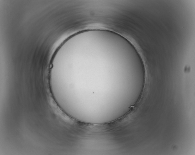 X0000112851008200909041525