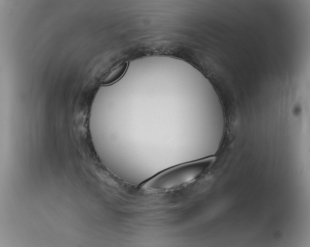 X0000112851010200909041524