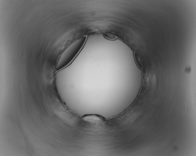 X0000112851012200909041524