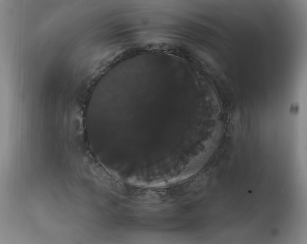 X0000112851013200909041524