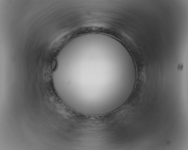 X0000112851014200909041524