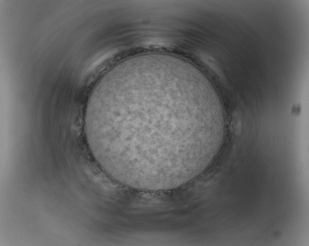 X0000112851015200909041524